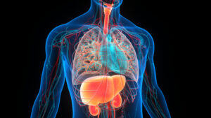 Cardiovascular-Kidney-Metabolic Syndrome 